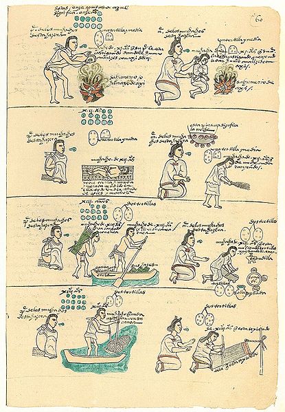 [Bild: 415px-Codex_Mendoza_folio_60r.jpg]