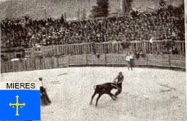 MIERES TOROS