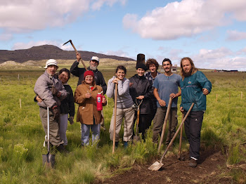 Trabajos en el Swale