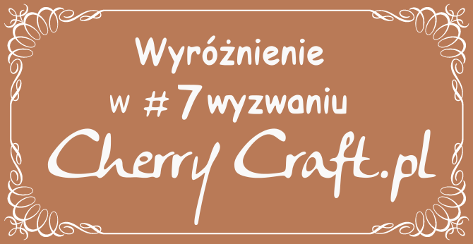 wyróżnienie - SOWA