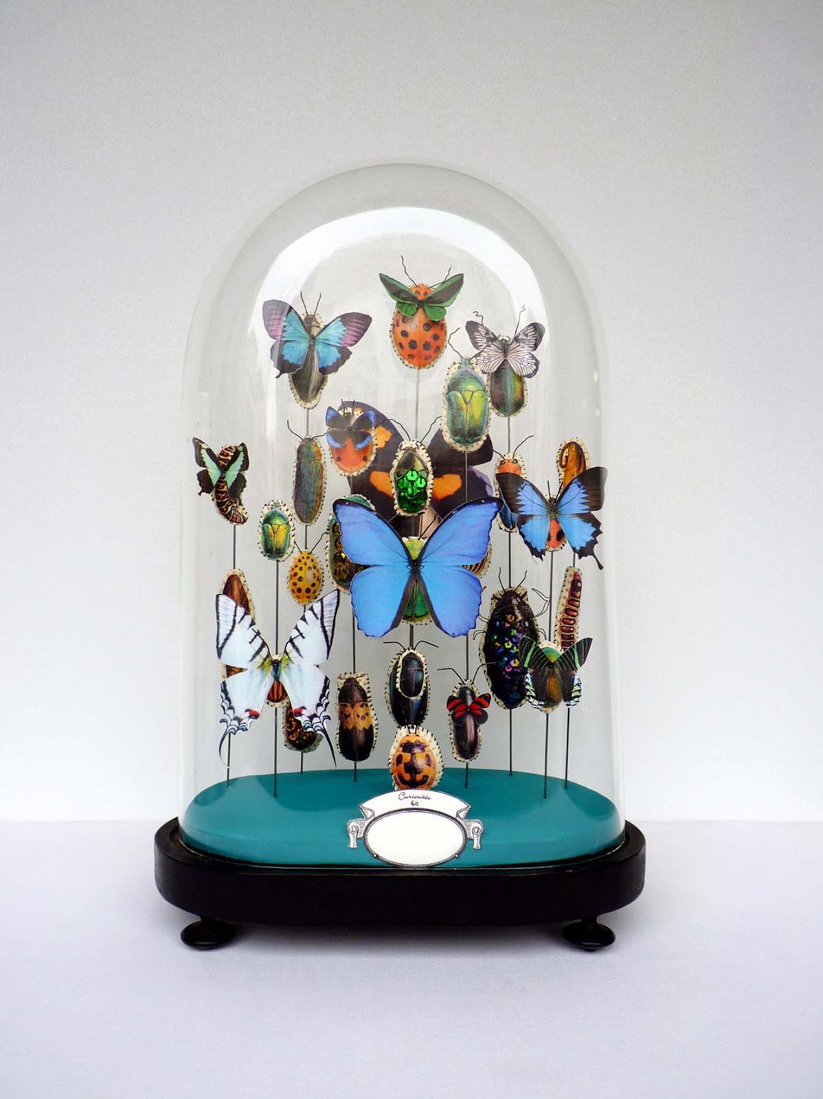 globe en verre 10 idées pour une déco sous cloche ! Une hirondelle