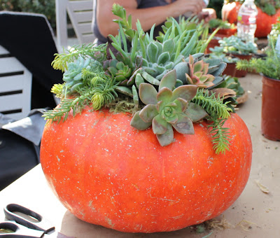 Roger's Garden, Corona del Mar CA, Halloween 2012