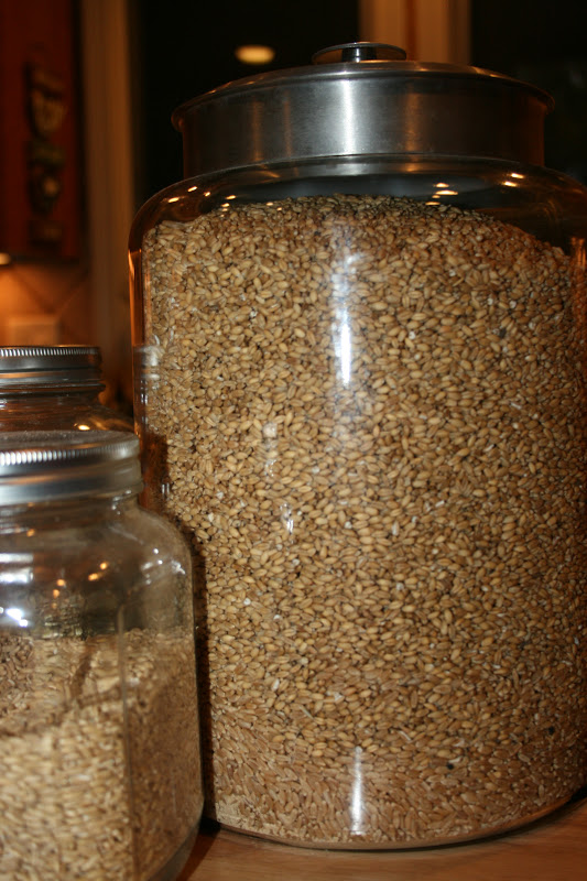 JOY Unspeakable kansas wheat berries! [exciting...for me, at least!]