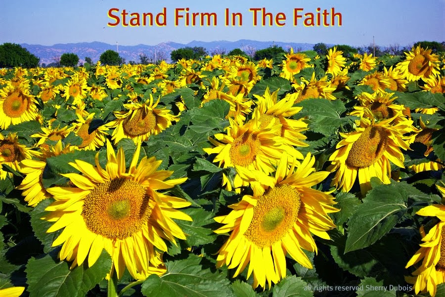 Stand Firm in the Faith