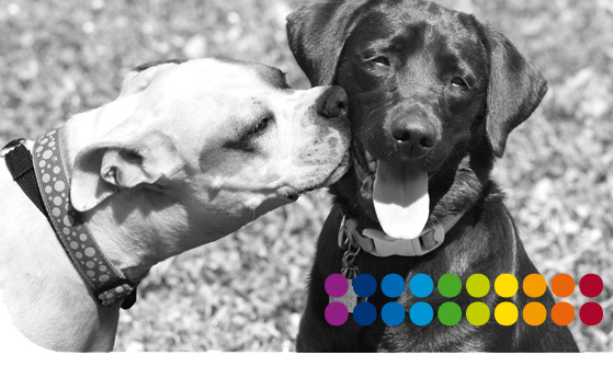 guide des rencontres sur internet