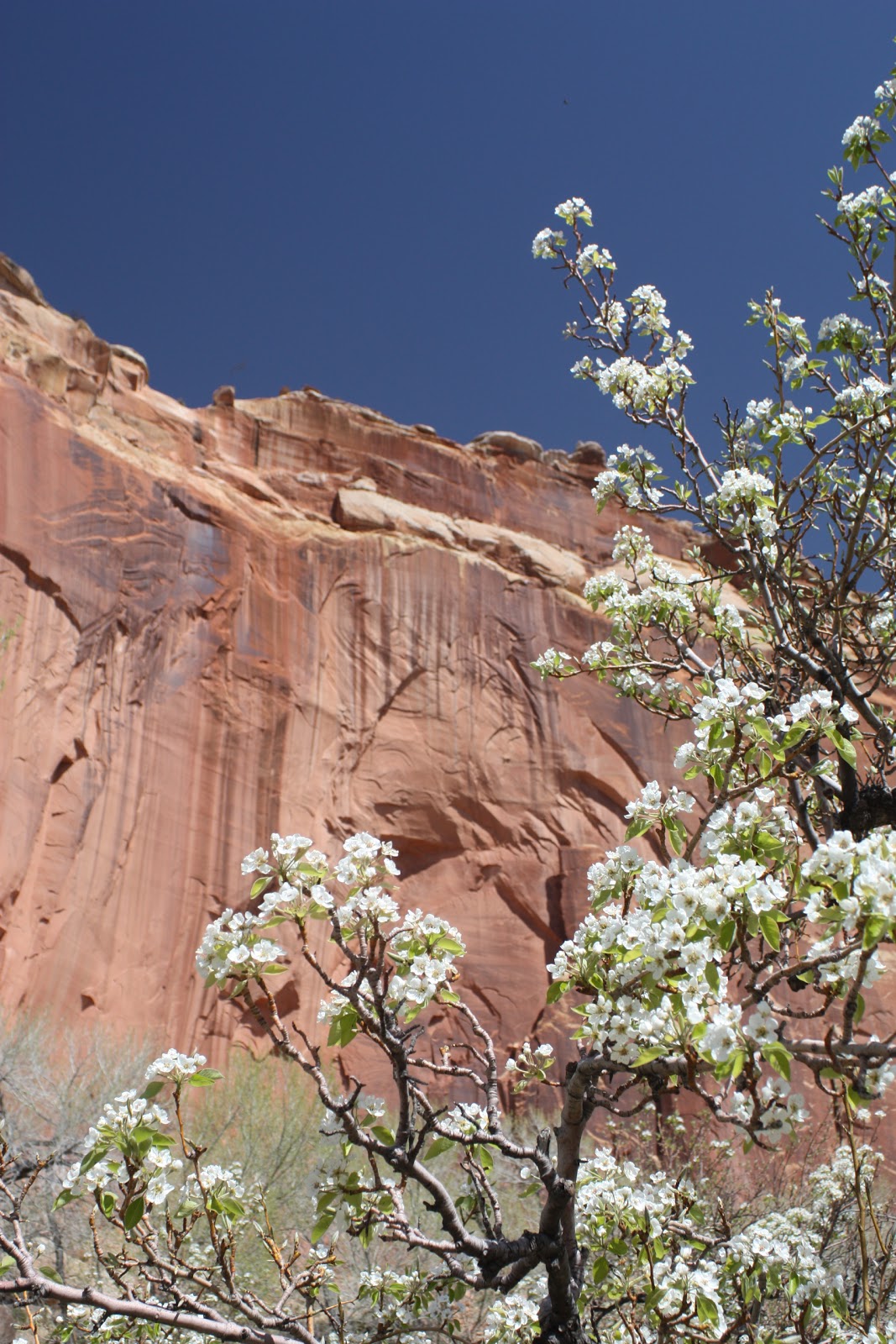 One Day in America Golden Throne Trail in the Land of the Sleeping