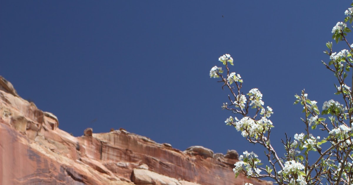 One Day in America Golden Throne Trail in the Land of the Sleeping