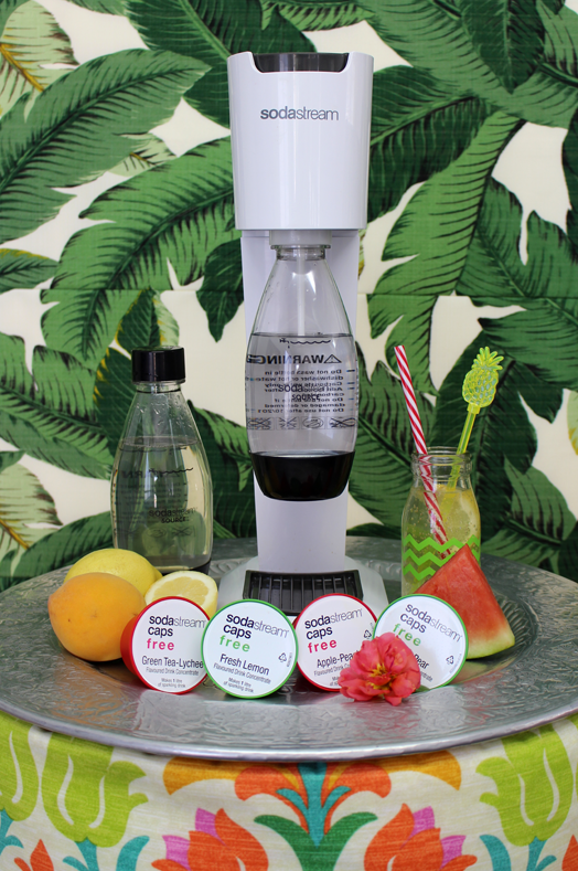 Cush and Nooks SodaStream Healthy Hydration Creation