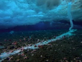 南極海底 死亡冰柱