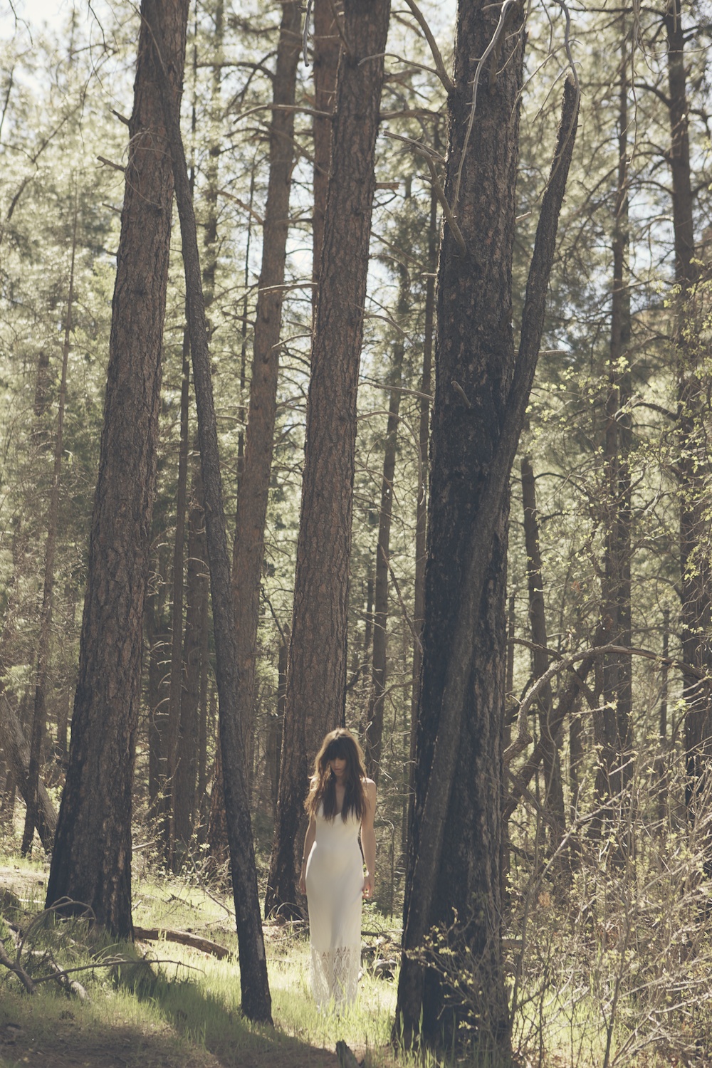 Wild at heart Stone Cold Fox