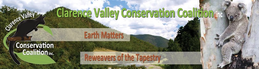 Clarence Valley Conservation Coalition