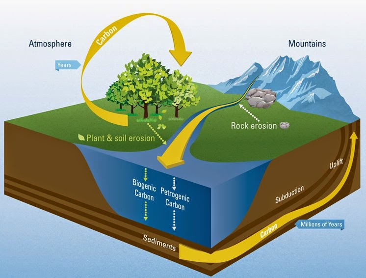 How rivers regulate global carbon cycle Geology Page