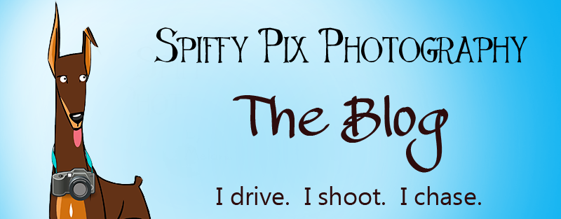 Spiffy Pix Photography Blog