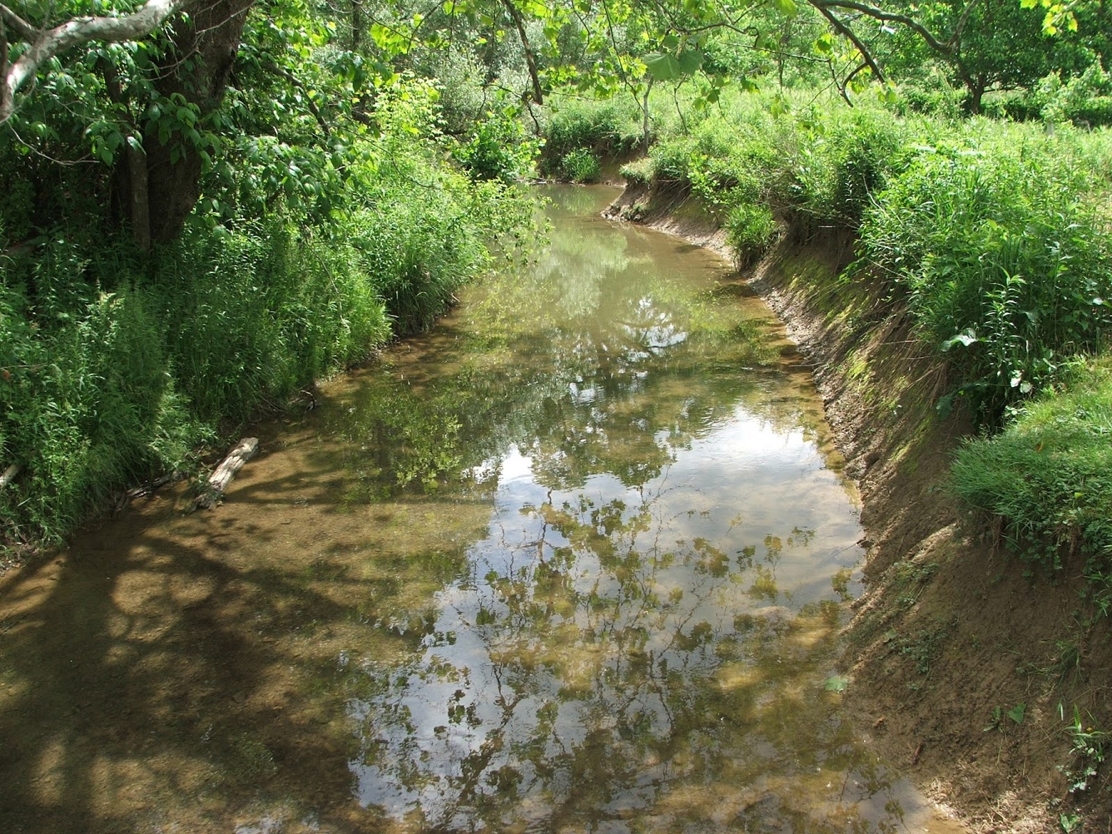 Virginia Water Radio Episode 269 (6815) What are the "Waters of the