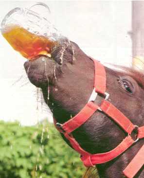 Beer for my horses barkeep
