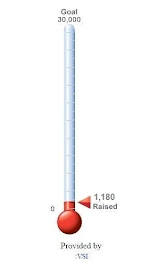 Crowd Funding Meter