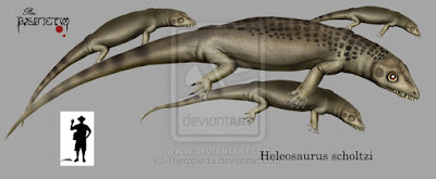Heleosaurus