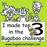 Bugaboo Challenge