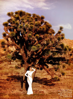 Cindy Crawford in a white dress by a tree