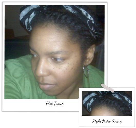 The Natural Haven Short Natural Hair The Flat Twist