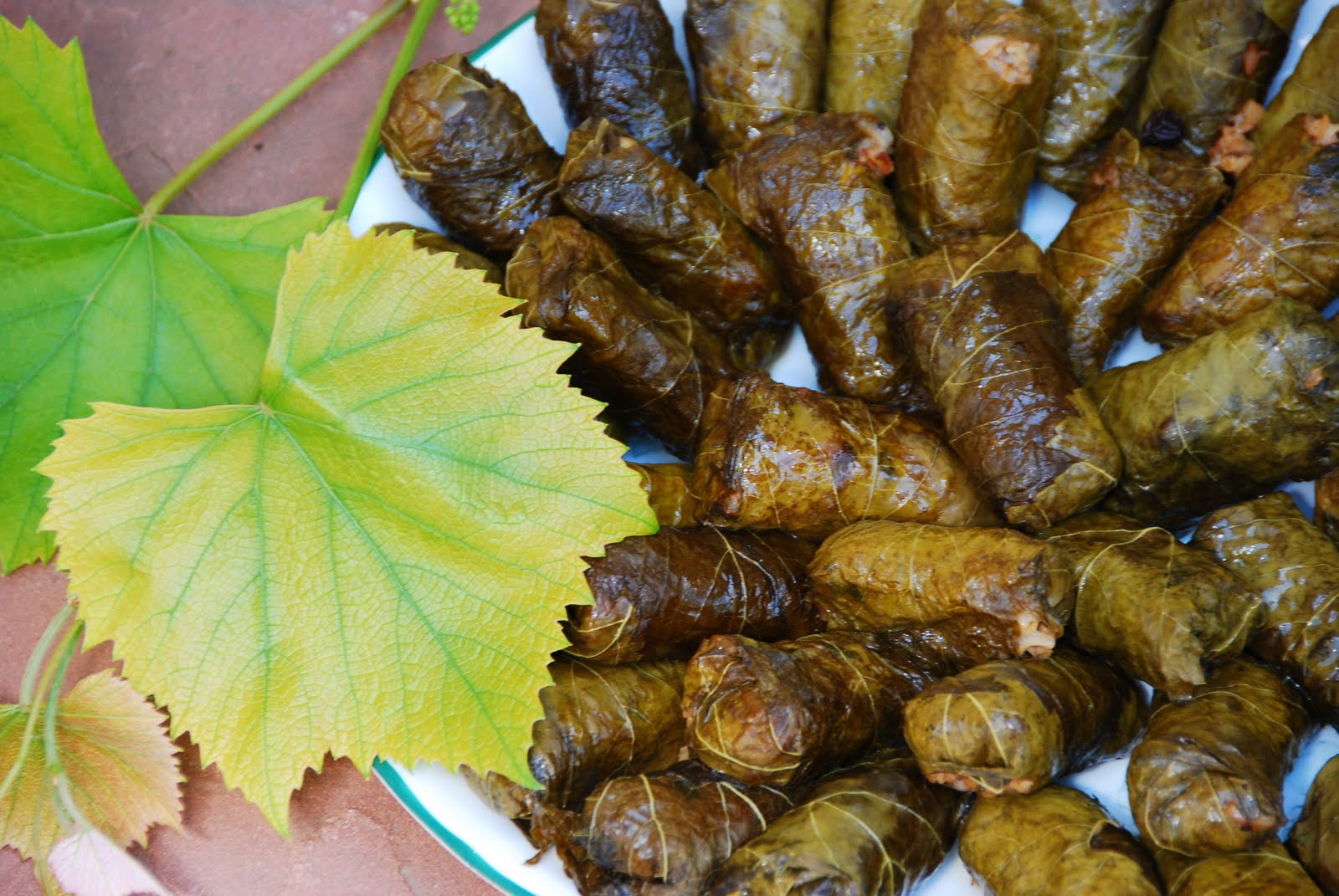 Secretos para cocinar sano y sabroso Tabaquitos de hojas de vid o parra.