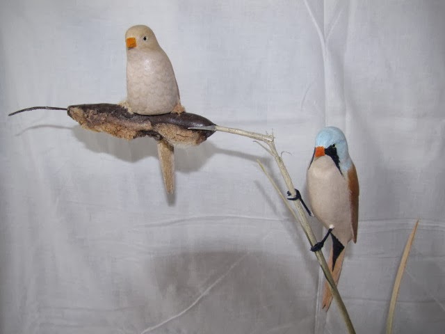 Bearded Reedlings