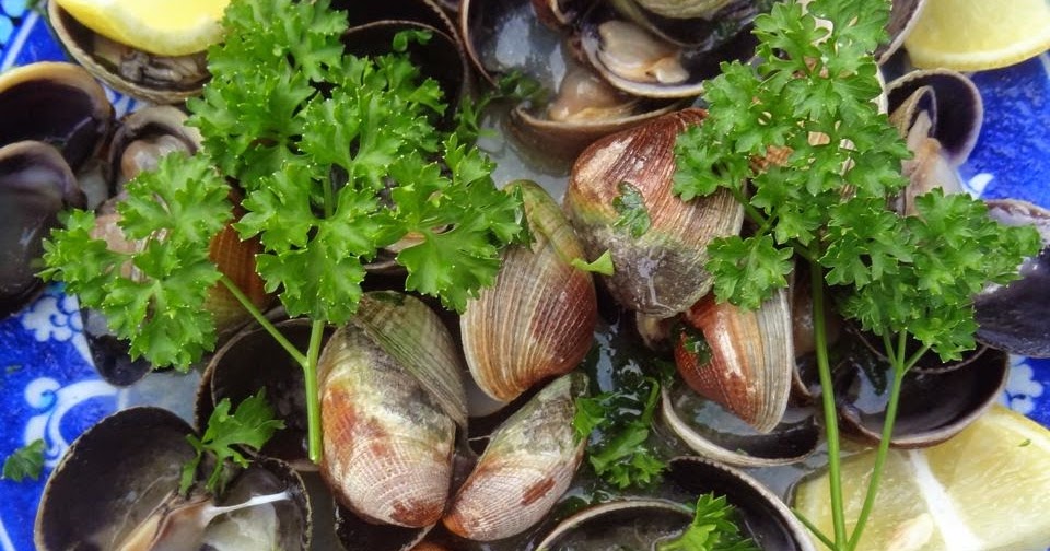 Scrumpdillyicious Steamed New Zealand Cockles A Kiwi Classic