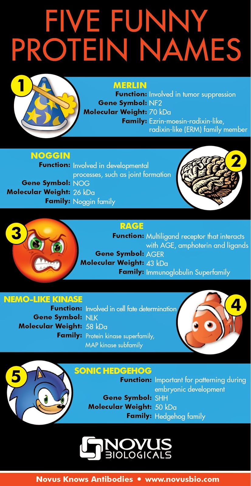 weight loss for a healthy lifestyle LACK OF PROTEIN LINKED TO