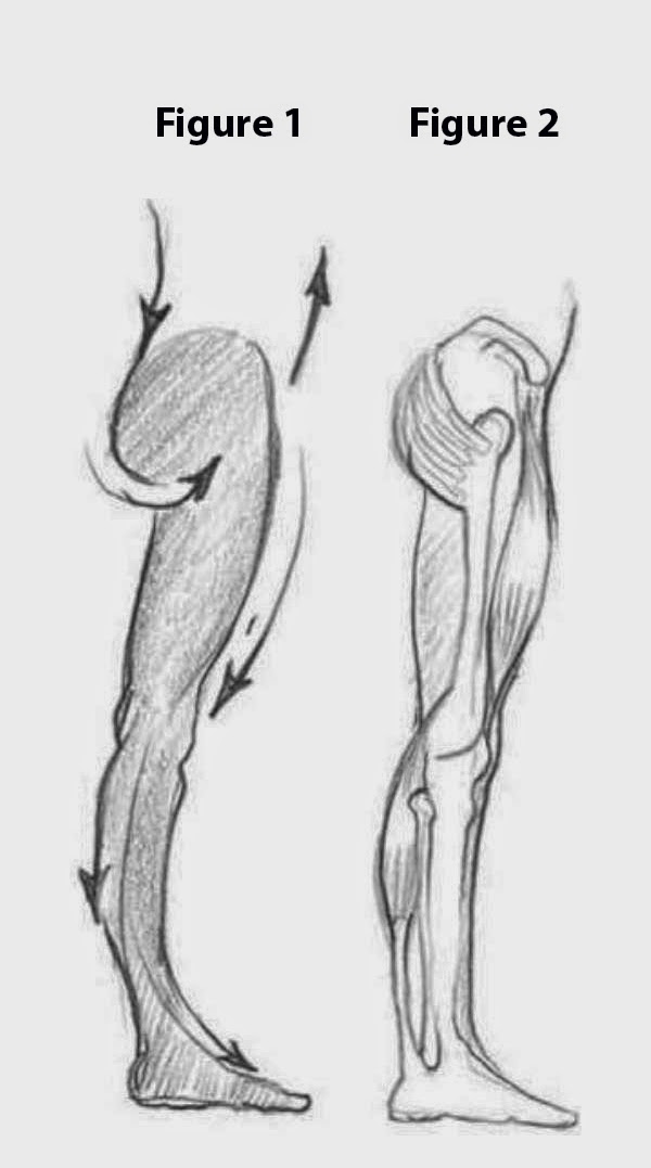 Drawings: SKETCHING THE LEG SIDE VIEW