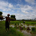 အစုုိးရသစ္လက္ထက္တြင္ လယ္ယာက႑ ဖြံၿဖိဳ းတုိးတက္မႈ သိသာထင္ရွားမည္ဟု ဆုိ
