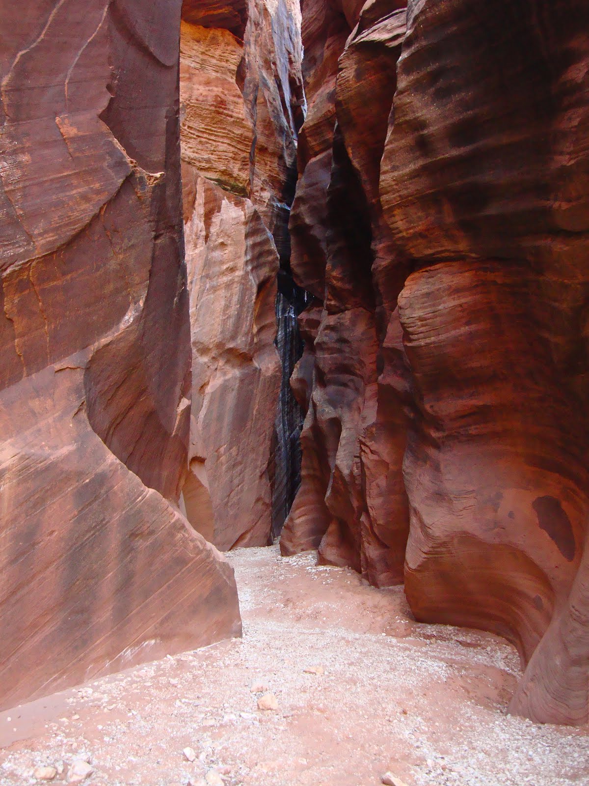 BUCKSKIN GULCH