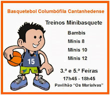 MINIBASQUETE