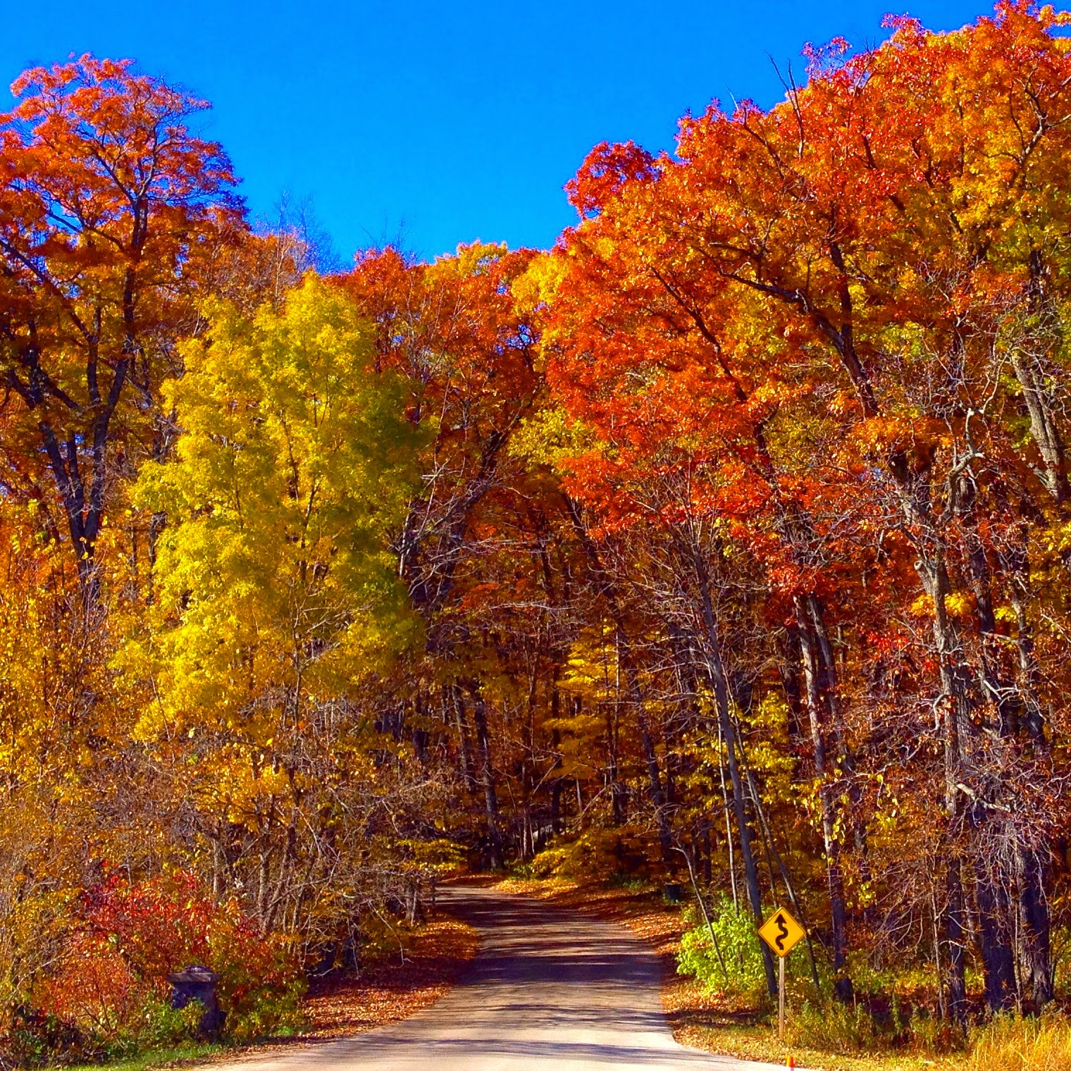 The First Class Project: Peak Autumn Colors in Wisconsin
