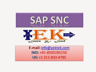 SAP SNC Training