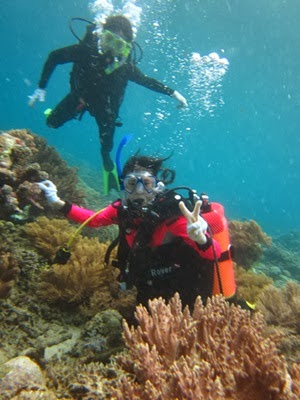 Diving Wureh