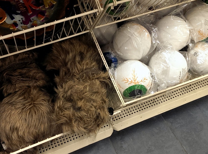OTIS (Odd Things I've Seen): Halloween at the Christmas Tree Shops