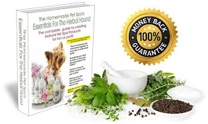 Guide To Creating An All- Natural Pet Care Line (Recommended)