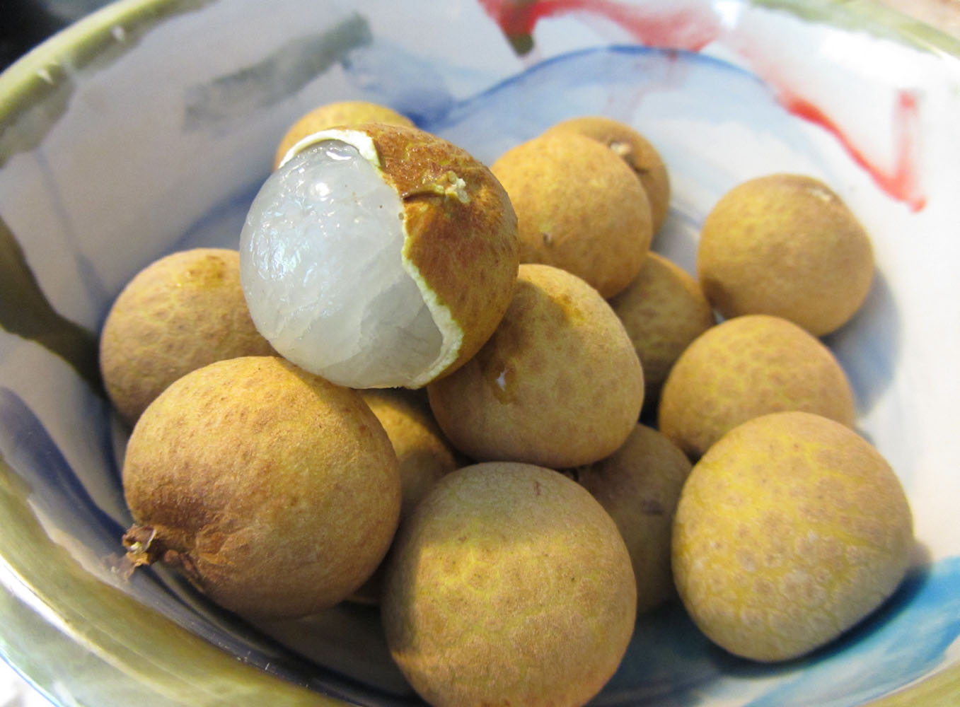 MUNGKOPAS Khasiat Dan Manfaat Buahbuahan