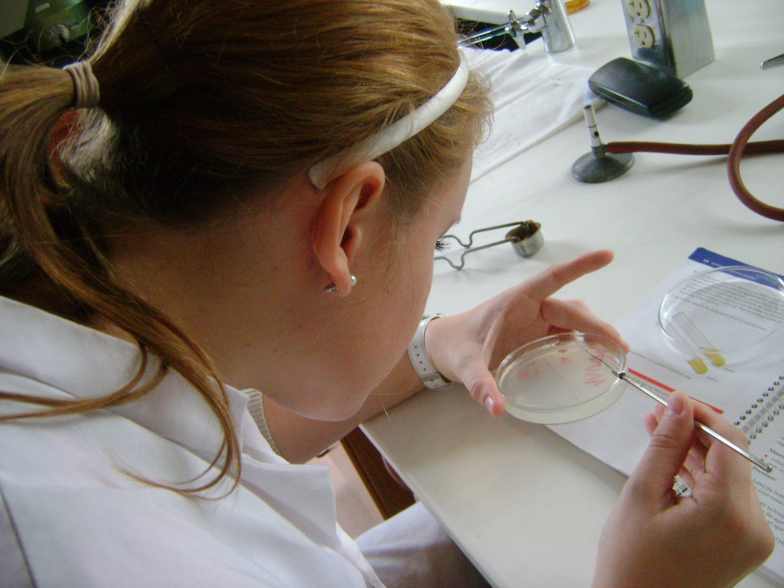 MedicALI Microbiology Oxygen Utilization and the Digestive Enzyme Test