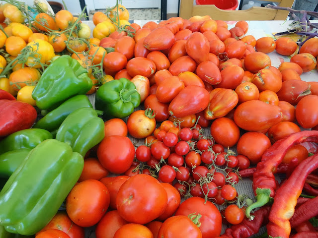 COSECHA DE TOMATES y PIMIENTOS. HUERTA DE VERANO