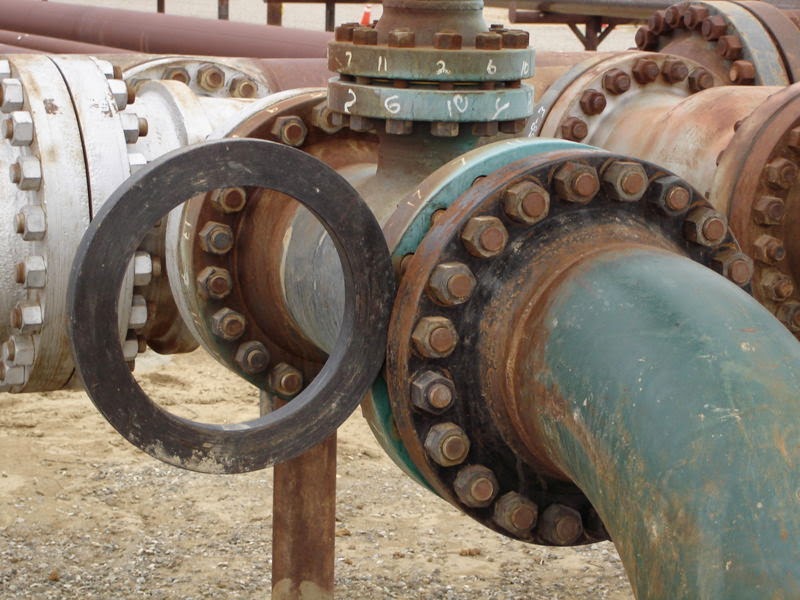 Spectacle Blind Flange 2014