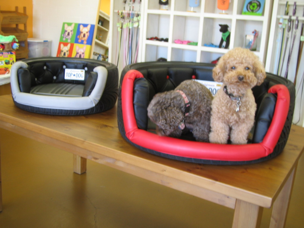 venicepets NEW ARRIVAL TIRE BEDS