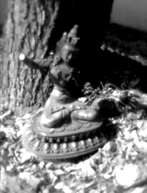 My 0.002 MP Camera And Me...