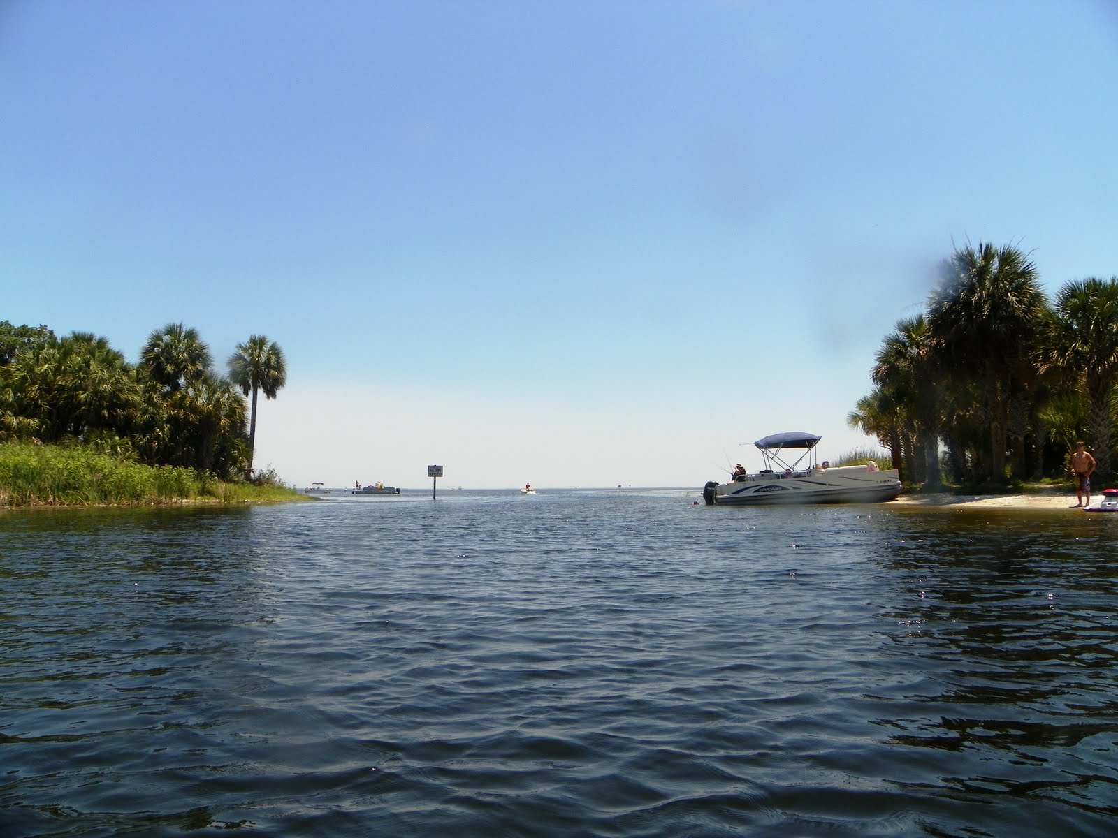 Views From Our Kayak Salt Springs Run