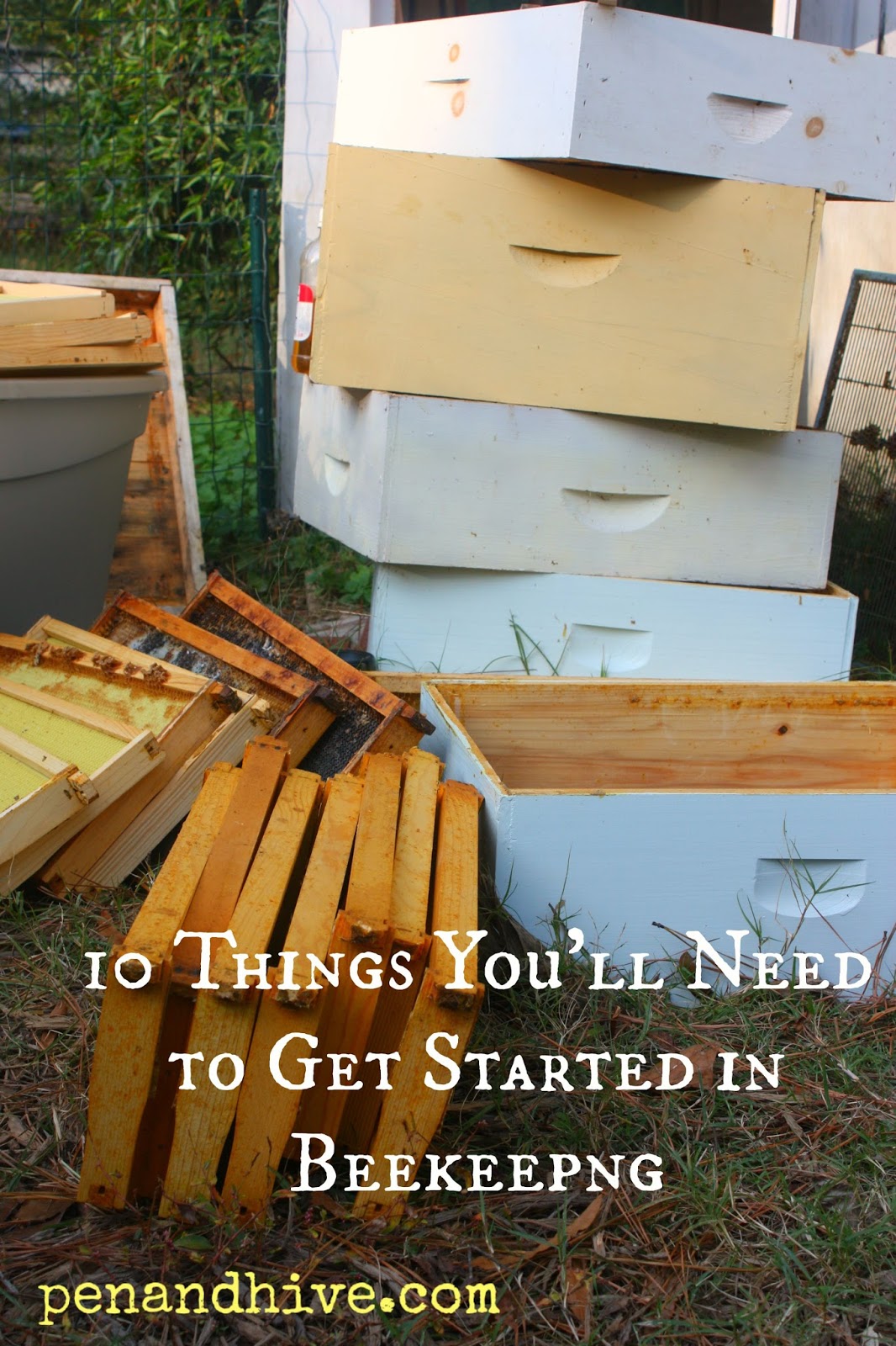 Pen & Hive Beekeeping 101 Equipment