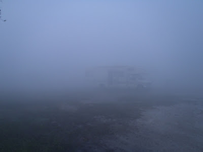 fog at three lakes wildlife management in florida by http://DearMissMermaid.com copyright by Dear Miss Mermaid