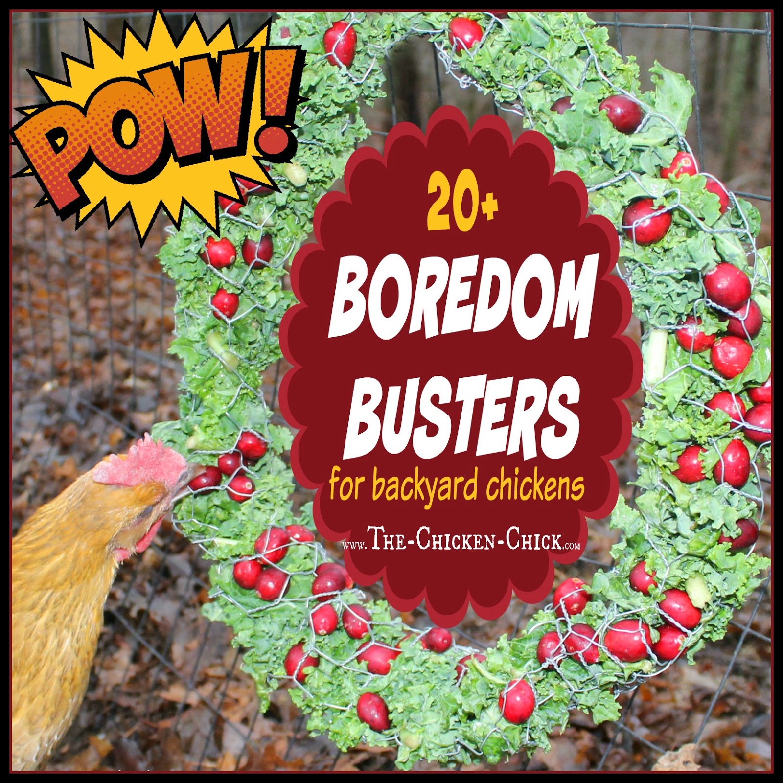 20+ Winter Boredom Busters for Backyard Chickens! The Chicken Chick®
