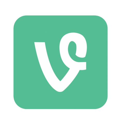 Vine