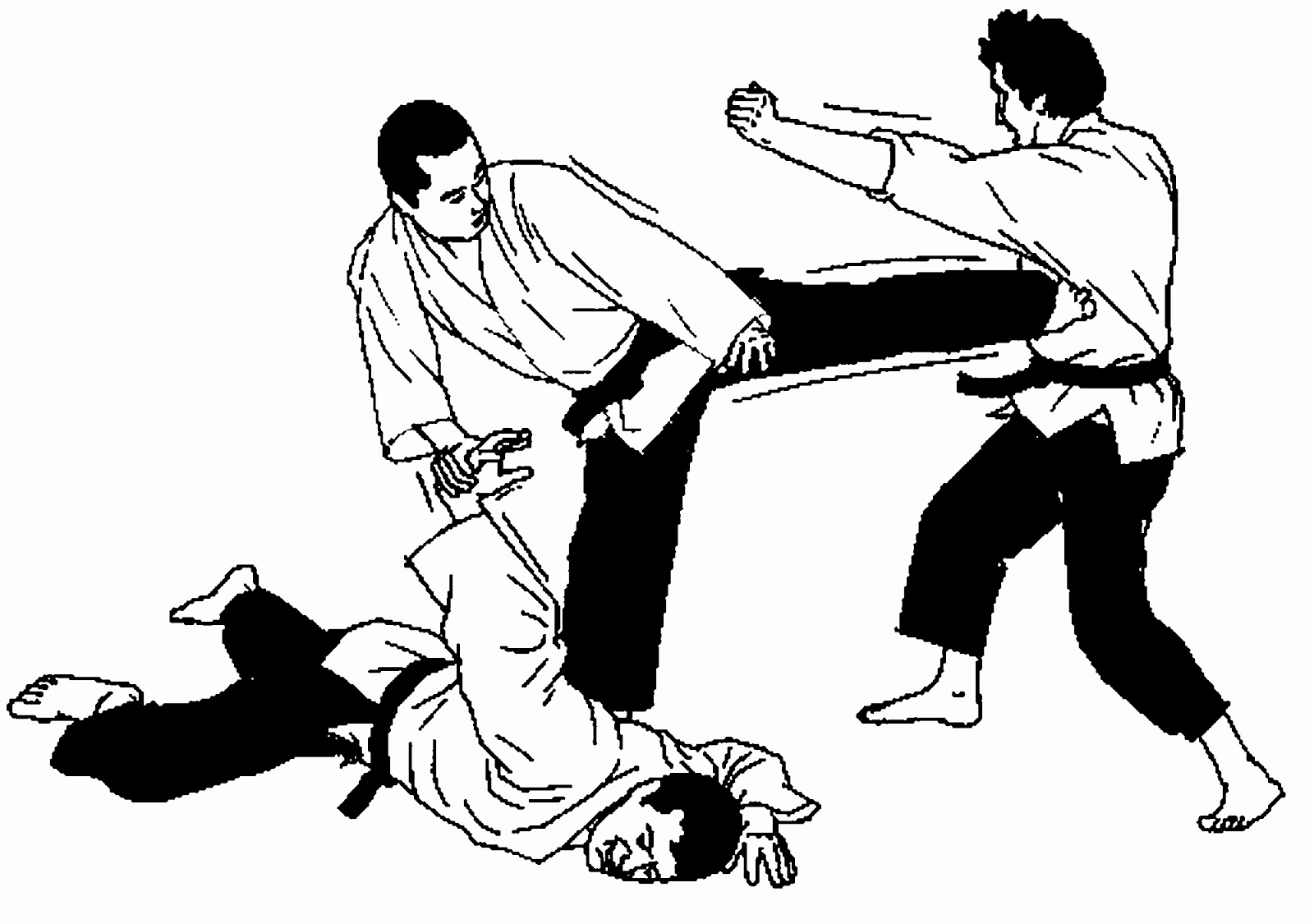 Hidden fists martial arts