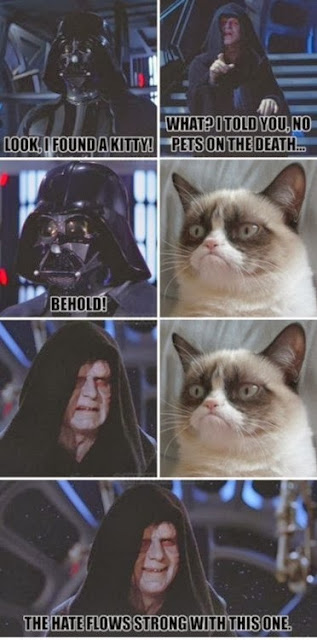 Grumpy Cat meets Emperor Palpatine | In A Far Away Galaxy